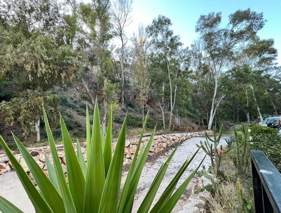 Apartamento Amar-Cura Malaga Bagian luar foto