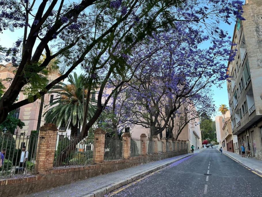 Apartamento Amar-Cura Malaga Bagian luar foto