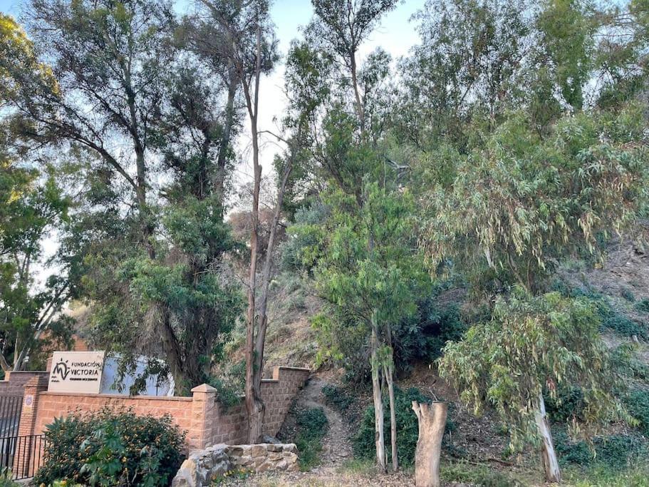 Apartamento Amar-Cura Malaga Bagian luar foto
